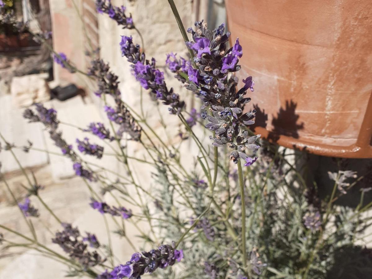 B&B San Francesco Asyż Zewnętrze zdjęcie